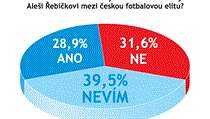 Odpovídalo 142 vrcholných představitelů firem. Odpovídalo 142 vrcholných představitelů firem.