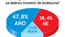 Odpovídalo 138 vrcholných představitelů firem. Odpovídalo 138 vrcholných představitelů firem.