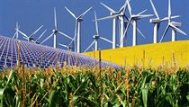 Ve znamení obnovitelných, alternativních zdrojů energie přijdou obrovská území o svou přirozenou tvář. Kam oko dohlédne, všude samé větrné farmy, solární panely, přepráškované monokultury řepky, plantáže palem olejných, které zabírají místo deštných pral Ve znamení obnovitelných, alternativních zdrojů energie přijdou obrovská území o svou přirozenou tvář. Kam oko dohlédne, všude samé větrné farmy, solární panely, přepráškované monokultury řepky, plantáže palem olejných, které zabírají místo deštných pral