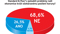 Odpovídalo 123 vrcholných představitelů firem. Odpovídalo 123 vrcholných představitelů firem.