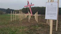 The crosses at the site of the mass grave near Dobronín serve also as symbols of differing interpretations of events in May 1945 The crosses at the site of the mass grave near Dobronín serve also as symbols of differing interpretations of events in May 1945