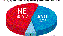 Odpovídalo 137 vrcholných manažerů firem. Odpovídalo 137 vrcholných manažerů firem.