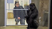 Bikira (right) with a zookeeper after arriving in Prague in 2010 Bikira (right) with a zookeeper after arriving in Prague in 2010