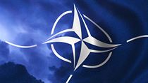 Rozhodující členská země NATO, Spojené státy americké, se rozhodla, že dá přednost svým současným strategickým asijským zájmům před evropskými. Rozhodující členská země NATO, Spojené státy americké, se rozhodla, že dá přednost svým současným strategickým asijským zájmům před evropskými.