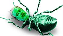 Šéf Cermatu Pavel Zelený se stal symbolem státních maturit. Šéf Cermatu Pavel Zelený se stal symbolem státních maturit.