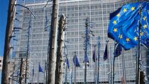 Český boj proti kůrovci dorazil do Bruselu. Český boj proti kůrovci dorazil do Bruselu.