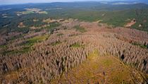Uschlý les na Černé hoře směrem od státní hranice s Bavorskem do vnitrozemí v Národním parku Šumava na leteckém snímku z 11. září 2012. | na serveru Lidovky.cz | aktuální zprávy Uschlý les na Černé hoře směrem od státní hranice s Bavorskem do vnitrozemí v Národním parku Šumava na leteckém snímku z 11. září 2012. | na serveru Lidovky.cz | aktuální zprávy