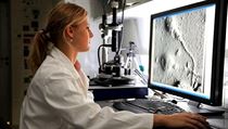 Moderní výzkumná centra, jako je třeba CEITEC v Brně (na snímku), usilují o nadané ženy ve svých laboratořích. Nabídnout jim k vědě i mateřství dobré podmínky není vždy snadné. Moderní výzkumná centra, jako je třeba CEITEC v Brně (na snímku), usilují o nadané ženy ve svých laboratořích. Nabídnout jim k vědě i mateřství dobré podmínky není vždy snadné.