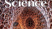 Nejznámějšími vědeckými časopisy jsou Science nebo Nature. Podle citovanosti se oba dostanou do světové TOP 20, ale v první desítce není ani jeden z nich. Nejznámějšími vědeckými časopisy jsou Science nebo Nature. Podle citovanosti se oba dostanou do světové TOP 20, ale v první desítce není ani jeden z nich.