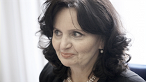 Bývalá ministryně školství Miroslava Kopicová je v posledních letech první místopředsedkyní vládní Rady pro výzkum, vývoj a inovace. Předsedou rady je premiér České republiky. Bývalá ministryně školství Miroslava Kopicová je v posledních letech první místopředsedkyní vládní Rady pro výzkum, vývoj a inovace. Předsedou rady je premiér České republiky.
