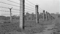 Austrian informers on the other side of the fence were one more hazard for communist escapees to deal with Austrian informers on the other side of the fence were one more hazard for communist escapees to deal with
