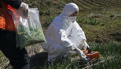 Radiační experti Greenpeace měří kontaminaci zahrad ve městě Minamisoma, 30 kilometrů od elektrárny Fukušima I. Radiační experti Greenpeace měří kontaminaci zahrad ve městě Minamisoma, 30 kilometrů od elektrárny Fukušima I.