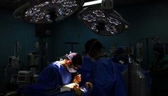 Na rozvoji centra ICRC v Brně by se měli podílet i výzkumníci z Mayo Clinic, aby se do české medicíny dostalo i americké know-how. Na rozvoji centra ICRC v Brně by se měli podílet i výzkumníci z Mayo Clinic, aby se do české medicíny dostalo i americké know-how.