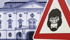 Kauza Gorila trhla oponou a kulisy jakžtakž seriózní fasády definitivně padly. Najednou nemají slovenští občané před sebou suverénní politiky, ale ubohé submisivní hokynáře. Kauza Gorila trhla oponou a kulisy jakžtakž seriózní fasády definitivně padly. Najednou nemají slovenští občané před sebou suverénní politiky, ale ubohé submisivní hokynáře.