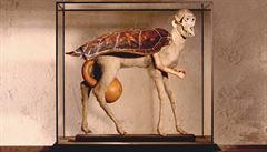 ‘A False Tortoise’ by Jan Švankmajer ‘A False Tortoise’ by Jan Švankmajer