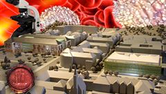 Letos by měla proběhnout architektonická soutěž na objekty kampusu. Ze státního rozpočtu na ni bylo navrženo devět milionů korun. Letos by měla proběhnout architektonická soutěž na objekty kampusu. Ze státního rozpočtu na ni bylo navrženo devět milionů korun.