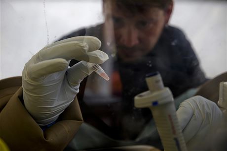 Testy na pítomnost viru ebola.