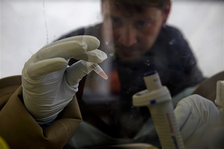 Testy na pítomnost viru ebola.