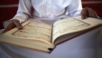 Muslimské děti by se na státních školách v Německu neměly učit jen verše z koránu, ale i historii a zvyky islámu. A to od kvalifikovaných pedagogů. Muslimské děti by se na státních školách v Německu neměly učit jen verše z koránu, ale i historii a zvyky islámu. A to od kvalifikovaných pedagogů.