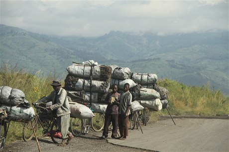 ivot v Kongu