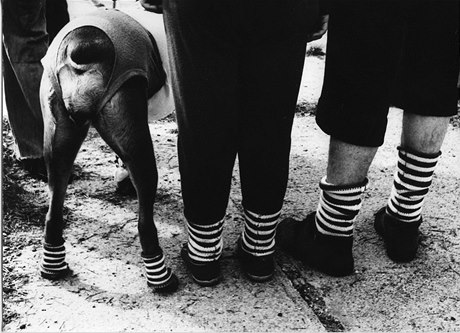 Frantiek Dostál: Fotografie ze souboru Psi a lidé, 1972