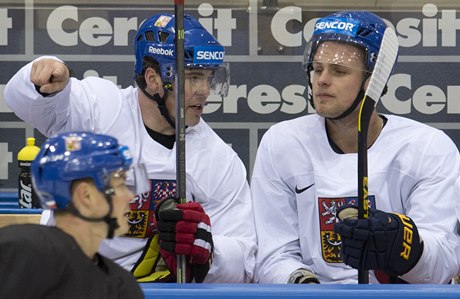 Vladimír Sobotka (vpravo) bude hrát v KHL za Omsk, kde hrál také Jaromír Jágr.