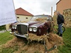 Desítky luxusních aut Rolls-Royce a Bentley se dnes sjely do pírodního parku v...