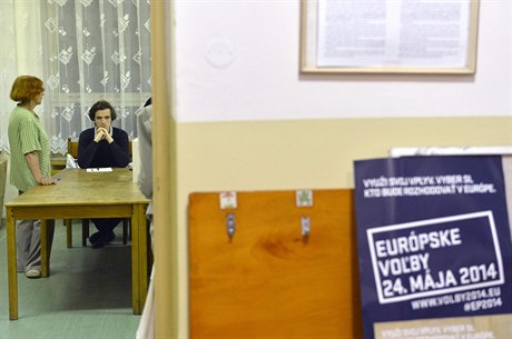 Volby do Evropského parlamentu na Slovensku.