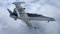 Lehký víceúčelový taktický podzvukový letoun Aero L-159 ALCA (Advanced Light... | na serveru Lidovky.cz | aktuální zprávy