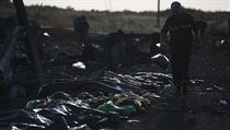 Záchranáři našli do nedělního večera na místě pádu letadla malajsijských... | na serveru Lidovky.cz | aktuální zprávy