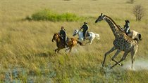Kdo prohání koho? Botswana. | na serveru Lidovky.cz | aktuální zprávy