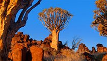 Divoká krajina v Namibii dostane při západu slunce další rozměr. | na serveru Lidovky.cz | aktuální zprávy