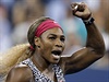 Serena Williamsov slav dal vhru na US Open.