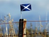 Skotsk vlajeka nedaleko msteka Portree na ostrov Isle of Skye v zpadnm...