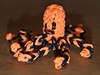 Chobotnice z gumiek loom bands.