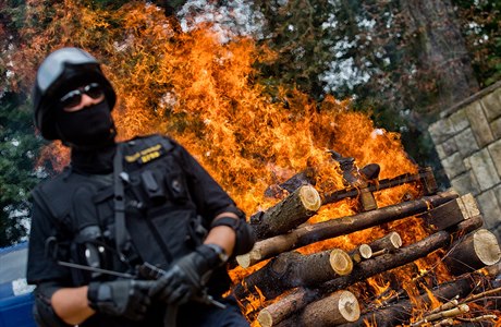 Na podporu mezinárodní kampan proti nesmyslnému zabíjení nosoroc v Africe a...