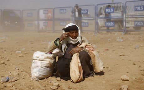 Starí syrská benkyn sedí na zemi se svými vcmi poté, co s ostatními...