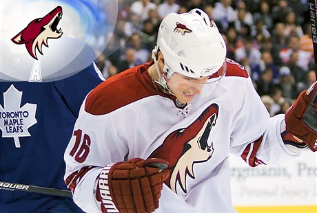 NHL - Arizona Coyotes