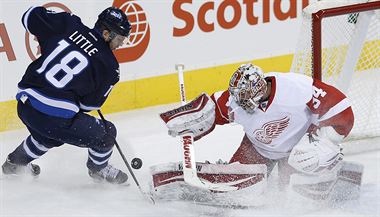 Petr Mrzek v brance Detroitu v utkn proti Winnipegu.