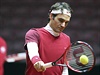 Roger Federer ped finle Davis Cupu.
