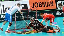 Útočník Mika Kohonen (vlevo) dává čtvrtý gól Finska. | na serveru Lidovky.cz | aktuální zprávy