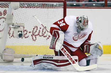 Branká Detroitu Red Wings Petr Mrázek