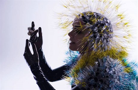 Björk: Vulnicura