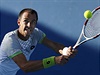 esk tenista Luk Rosol prohrl ve 2. kole Australian Open s Izraelcem Dudi...