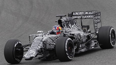 Daniil Kvyat z Red Bullu v zebrovaném aut.