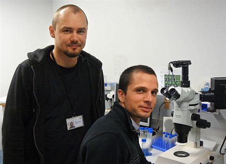 Docent Petr Svoboda (vlevo) se svým doktorandem Matyáem Flemrem. Spolen v roce 2013 publikovali klíovou studii v elitním asopise Cell.