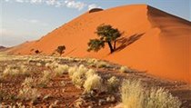 Poušť v Namibii | na serveru Lidovky.cz | aktuální zprávy