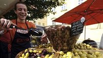 Olivy s bylinkami z Provence | na serveru Lidovky.cz | aktuální zprávy