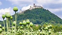 V 17. století se na Bezdězu na čas usadili benediktini a z hradu se dokonce stalo poutní místo. Možná že právě v té době vznikla pověra, že kdo vystoupí na Bezděz, tomu budou smazány všechny hříchy. | na serveru Lidovky.cz | aktuální zprávy