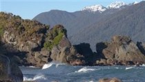 Martins Bay od Long Reef | na serveru Lidovky.cz | aktuální zprávy